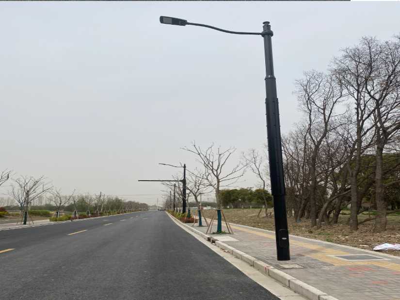 北湖区上海综合杆 太阳能路灯工程
